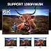 TV Box Android 10.0 4GB 64GB Decodificador Smart TV Box H616 USB...