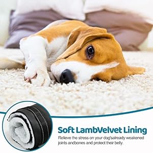   20-130-lbs-Dog-Lift-Harness-for-Large-Dogs-Dog-Sling-for-Large-Dogs-Hind-Leg-Support-Dog-Support-Harness-for-Back-Legs-Help-Lift-Rear-for-Canine-Up-and-Down-Stairs-Canine-Aid-Medium-Black