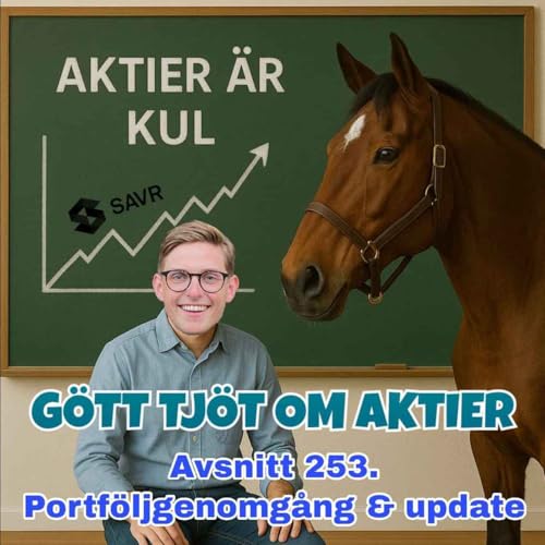 253. Portföljgenomgång & update Titelbild