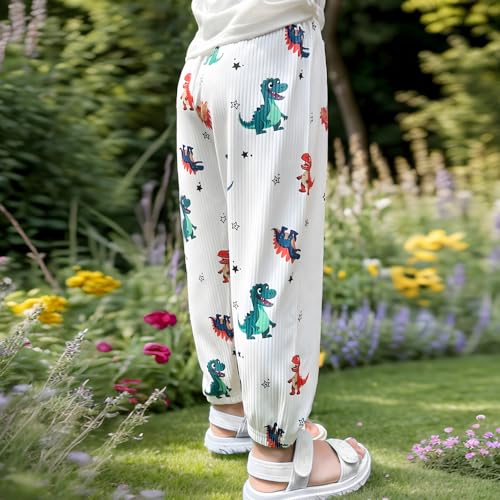 2 Pack Little Boys Summer Long Pants Kids Spring Soft Elastic Pants Casual Joggers Cartoon Print Pants4