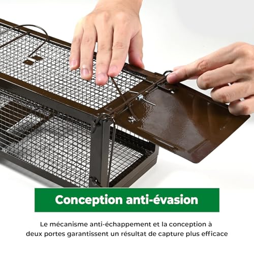 Piège à rats XXL avec cage ajustable no kill RatzFatz réutilisable