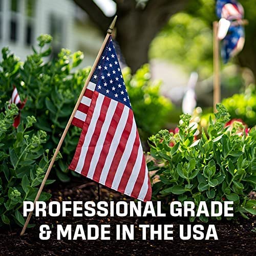 Exterminators Choice - Lizard Defense Repellent Spray - Non-Toxic Deterrent For Pest Control - Repels Lizards And Geckos - Easy To Use - Safe For Kids And Pets (1 Gallon) #TOP3