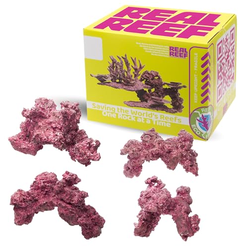 Real Reef Arches, Medium 10-12' (4-Pack, 20 lb Box) - Artificial Live Rock for Saltwater & Reef Aquariums, Reef-Safe Calcium-Based Aquascaping Arches, Natural Purple/Pink/Red
