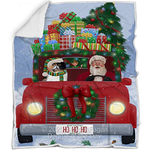 Doggie of the Day Persian Cat Blanket - Christmas Honk Honk Red Truck with Santa - Super Soft & Warm Pet Theme for Sofa or Bed, Warm Fleece, Sherpa or Woven Material BLNKT140953 (50x60 Woven)