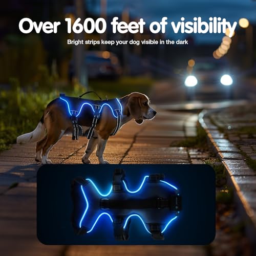 Jewyow Hundegeschirr Leuchtend, Wiederaufladbare LED Hundegeschirr, Led Geschirr für Hunde mit Weicher Griff, 3 Einstellbare Modus, Wasserdicht für Mittelgroße, Große Hund, Blau-L