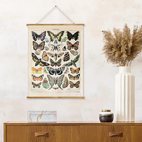 Vintage Butterfly Poster Hanger Frame, Retro Style Wall Decor Art Painting, Patterns Are Printed On Canvas Without Fading, Living Room Office Classroom Bedroom Apartment Decor,Educational Chart #TOP6