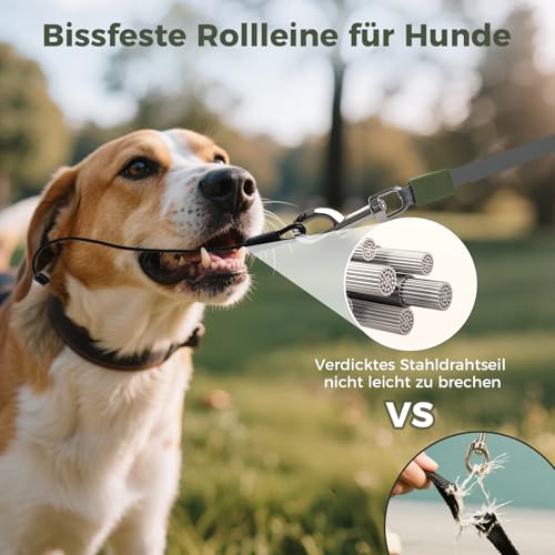 BMaobbo Einziehbare Hundeleine 8m, Rollleine mit bissfesten Stahlseil & Kottaschenhalter, Verhedderungsfreies Design, Schnellbremse & Anti-Rutsch Griff, für Hunde bis 35kg,für Training, Wald,Strand