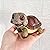 Turtle Outdoor Garden Decor – Outside Garden Statues for Home, Yard, Patio, Backyard, Balcony for Mother’s Day, Birthday for Women, Mom Gifts