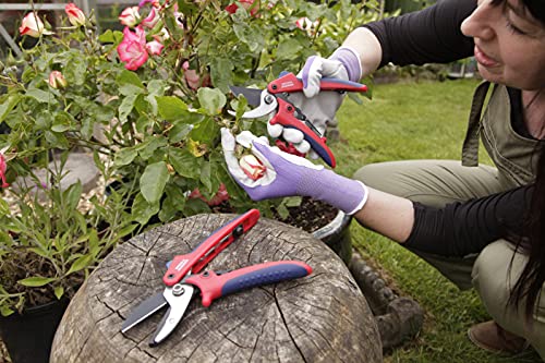 Spear & Jackson CUTTINGSET2 Bypass- und Amboss-Gartenscheren-Set – Ansicht 5