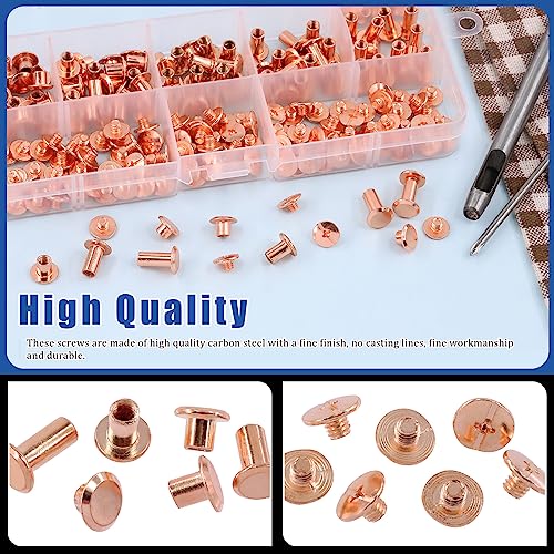 Glarks 110 Sets 6 Sizes Chicago Screws Leather Rivets with Punch and Screwdriver Kit - Image 3