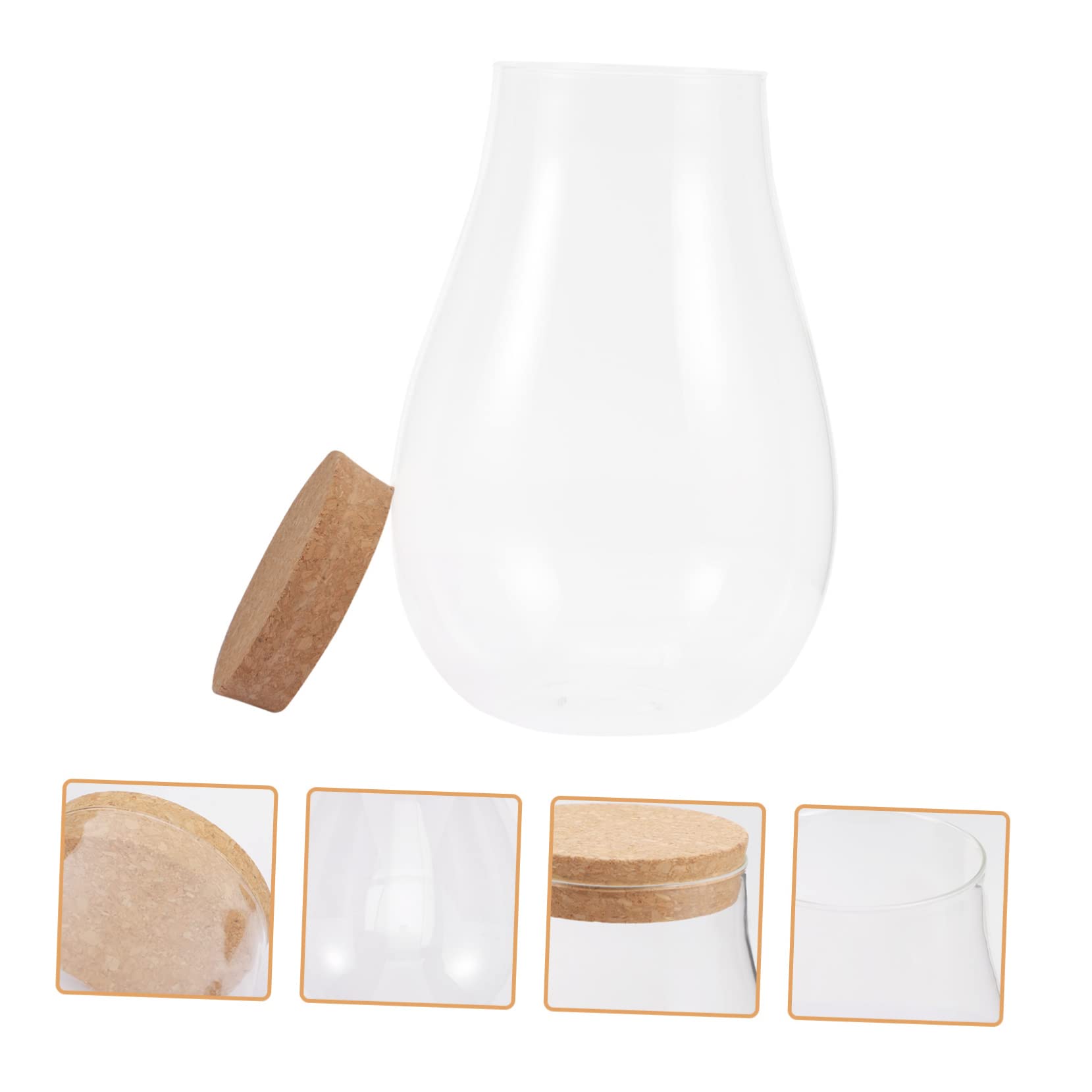 Terrario in Vetro e Legno per Piante e Muschio, Decorativo