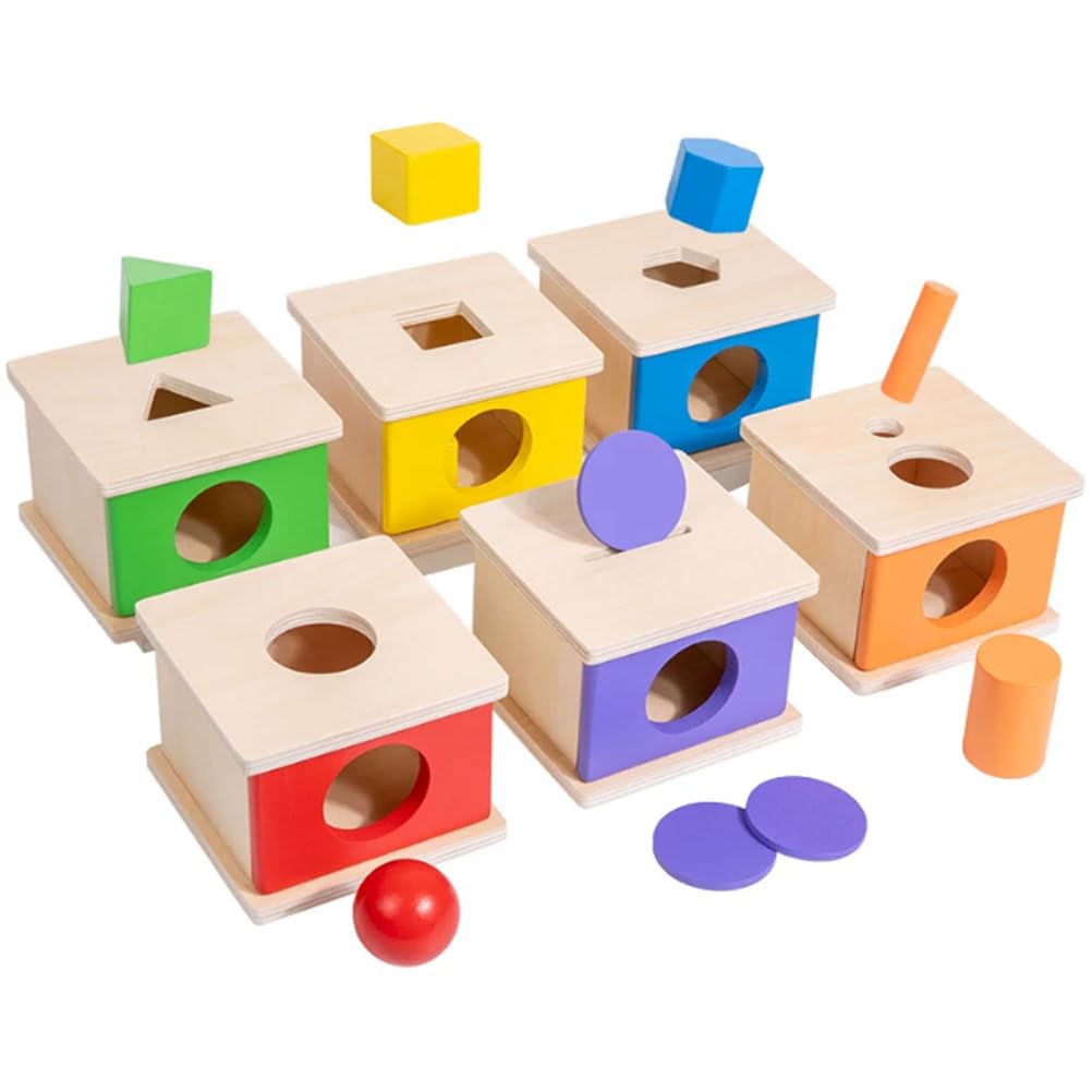 ttnmrc Montessori Wooden Shape Color Matching Sorting Box