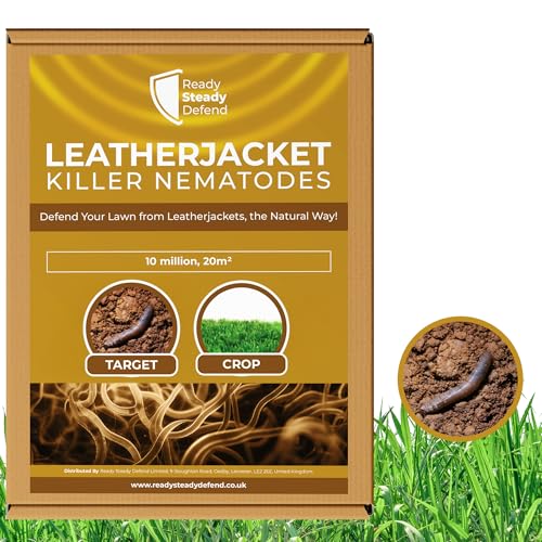 Leatherjacket Killer Nematodes Lawn Treatment
