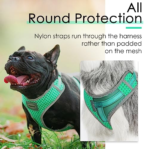 ThinkPet No-Pull Hundegeschirr Leine Set, Atmungsaktiv Brustgeschirr für Kleine Mittlere Große Hunde, Einstellbar Weich Laufgeschirre Sicher Kontrolle Gepolstert Reflektierendes Sicherheitsgeschirr