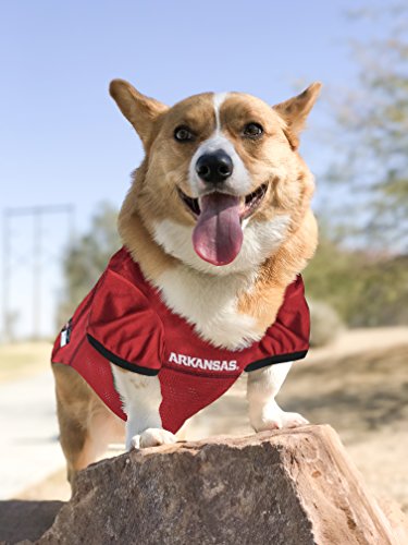 image for Pets First NCAA College Arkansas Razorbacks Mesh Jersey for DOGS & CAT