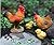 Kryoflare 2Pcs Miniature Rooster and Hen Figurines, Farm Animal Decor, Mini Garden Statues for Fairy Garden Decor, Miniature Outdoor Statues for Micro Landscape