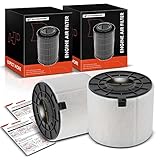 A-Premium 2Pcs Engine Air Filter Compatible with Audi S4 S5 2019-2023, SQ5 2018-2022, SQ5 Sportback