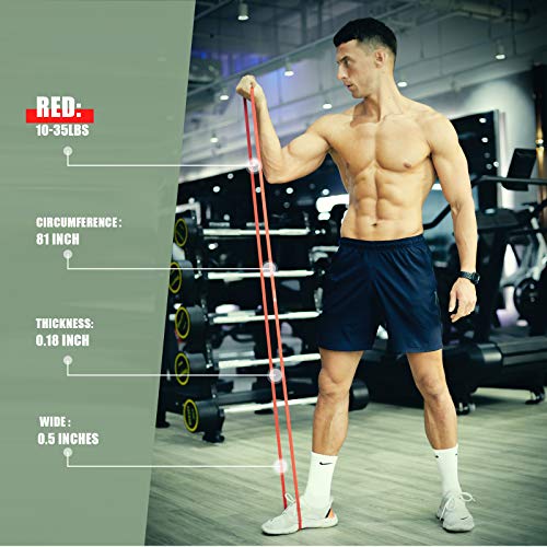 Polygon Pull Up Assist Resistance Exercise Bands, Heavy Duty Assistance Loop Mobility Band, for Body Stretching, Muscle Toning, Powerlifting, Resistance Training, Physical Therapy, Home Workouts - Image 4