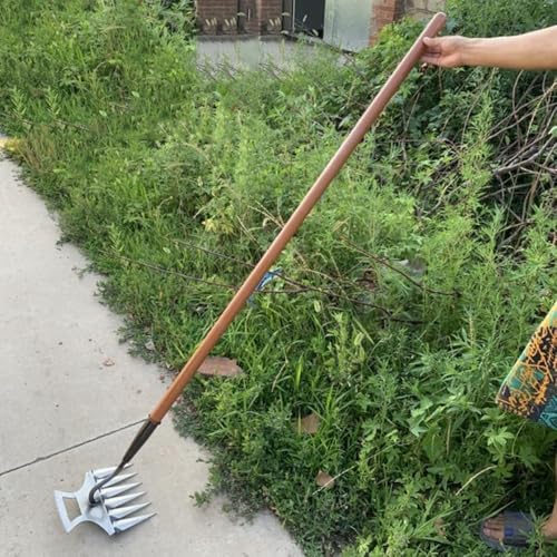 背[L F 6/{+1.2/1.4m̖؂̖_ y F |p pF 蓹 |[^u pr ẙɂ dŐ G [L |Mt K[f[L Yf| _ ԒdF c a@  G΍ (6