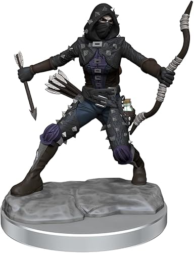 Miniatura 6 de D&D Frameworks: Human Rogue Female - Sin pintar y sin ensamblar