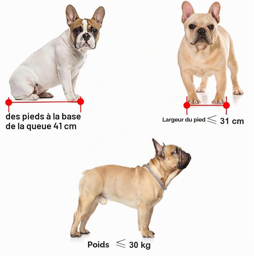 Panier arrière Robuste pour vélo pour Chiens et Chats, Cage de Transport Ajustable pour Animaux avec Housse et Serrure, Panier Multifonction pour Animaux, Courses et Usage Quotidien