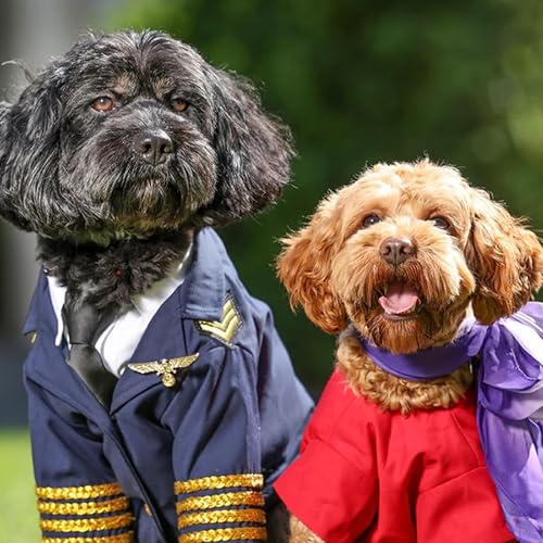 Page de couverture de The first pet friendly flights set for take off