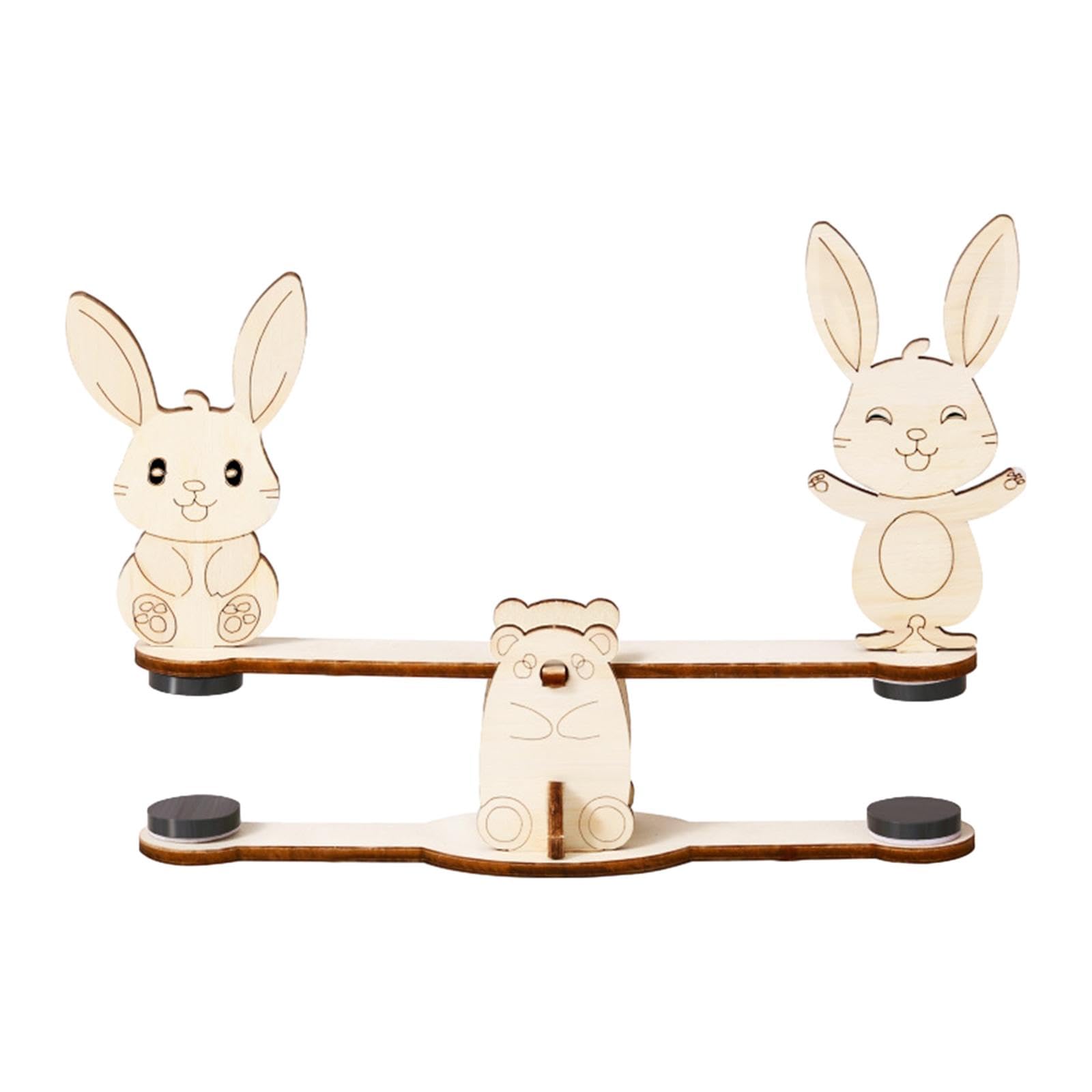 Science Experiment Building Kits Seesaw Model Teaching Aid Educational Craft