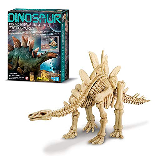 4M Kidz Labs Graven een Stegosaurus Skelet
