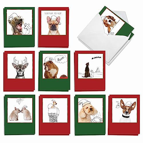 The Best Card Company - 20 Blank Christmas Note Cards (10 Designs, 2 Each) - Bulk Holiday Notecard Set (4 x 5.12 Inch) - Holiday Dogs and Doodles AM6582XSB-B2x10