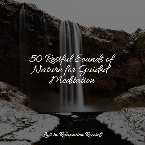 Riproduci 50 Restful Sounds of Nature for Guided Meditation di Rising ...