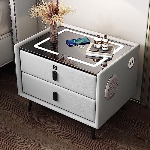 HPTHLY Multifunktionaler Nachttisch, Intelligenter Nachttisch Mit Fingerabdruckschloss, Bluetooth-Lautsprecher, USB-Anschluss, Kabellosem Laden Und 3-Farbigen Led-LEU.Light Gray-30x40x46cm HPTHLY Multifunktionaler Nachttisch, Intelligenter Nachttisch Mit Fingerabdruckschloss, Bluetooth-Lautsprecher, USB-Anschluss, Kabellosem Laden Und 3-Farbigen Led-LEU.Light Gray-30x40x46cm