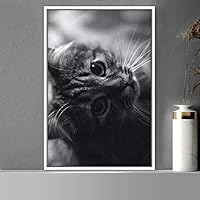 Framed Canvas Wall Art Duotone Cat Animals Black and White Contemporary Dogs Duotone Expressive Grey Living Room Photography - 16x24 inches