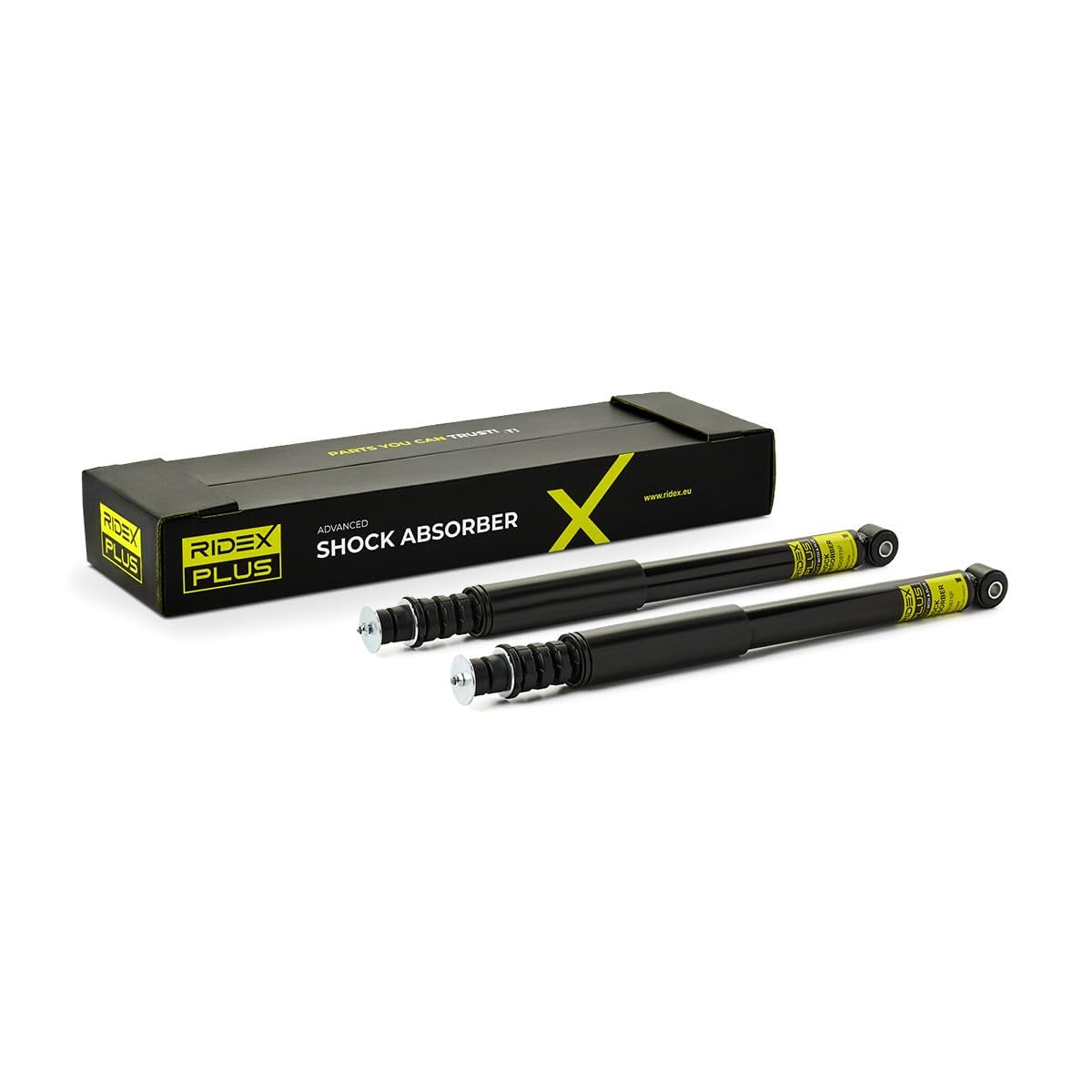 RIDEX PLUS 854S0945P 2x Amortisseur Arrière Compatible avec RENAULT Clio 3 3/5 portes BR0/1, CR0/1