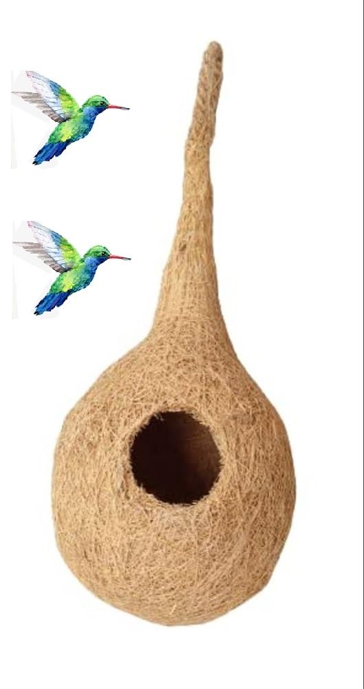 RARE OCEANS Bird House for Domestic Birds Natural Handmade (Pack of 4) 1
