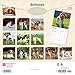 Brittanys | 2026 12 x 24 Inch (Hanging) Monthly Square Wall Calendar | Plastic-Free | BrownTrout | Animals Dog Breeds