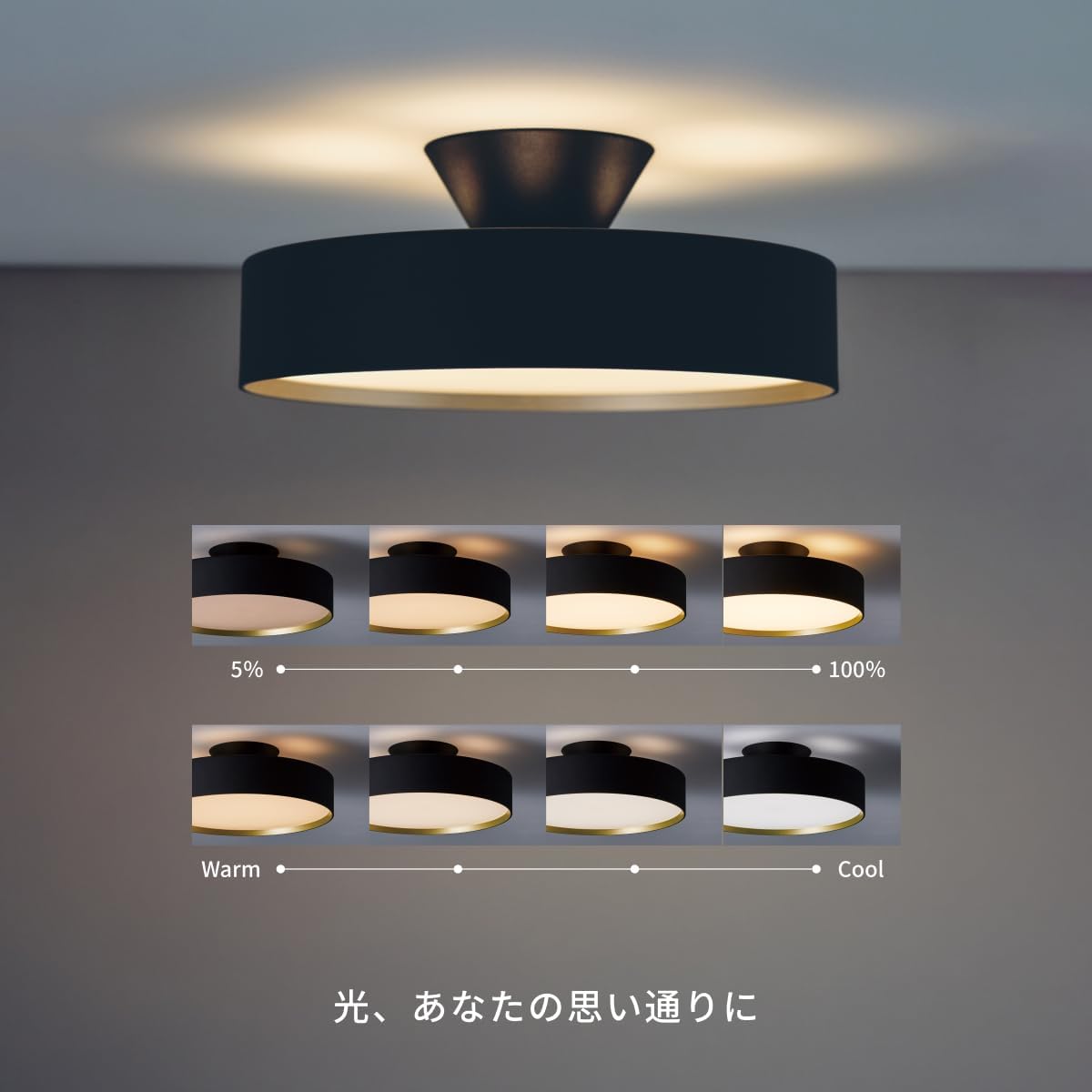 Amazon.co.jp: Art Work Studio Glow 4000 LED Ceiling Light - For Up