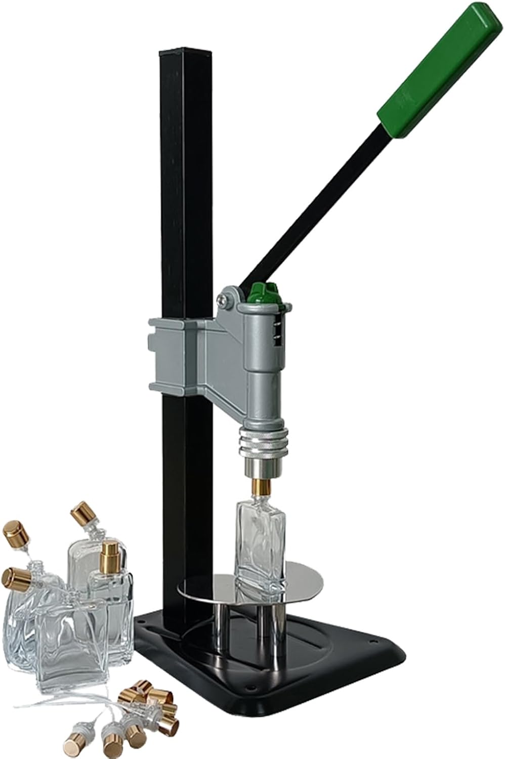 ブラヘアアルマータ 幹幅16センチ 超極太株 ドワーフタイプ 10号鉢