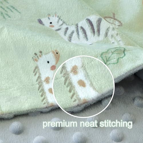 Image of BORITAR Baby Blanket for Boy Girls Soft Lightweight Minky Blanket with Double Layer Dotted Fleece Backing for Toddler Infant Newborn with Lovely Woodland Animal Design, 30 x 40 Inch
