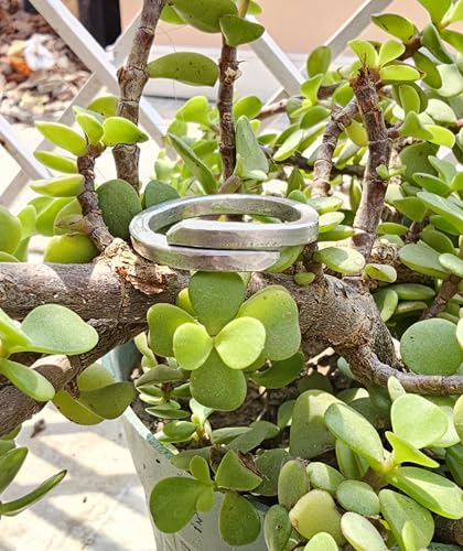 Image of Ranga Ring for astrological remedies and weight loss manage BP, adjustable ranga challa