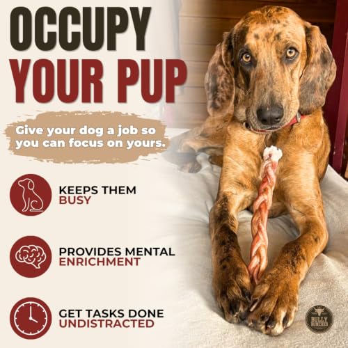 View 4