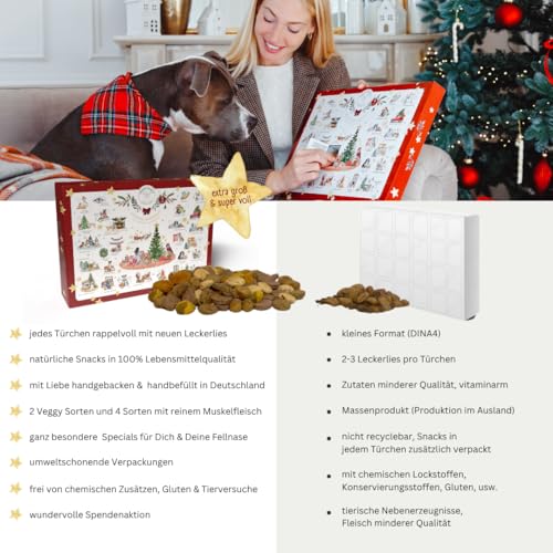 Green PAWLY® XXL Hunde Adventskalender 2024 | Premium Hundeleckerlies | 420 Gramm Inhalt | 100% Lebensmittelqualität | Ohne Chemie | Muskelfleisch und Veggy