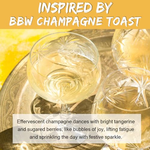 Image of MUBYOK 1.5LB Sparkle Champagne Premium Scented Aroma Beads for Making Car Freshies Supplies PreScented Beads for Car Air Freshener Sachets Long-Lasing Scent