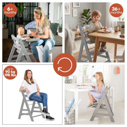Image of hauck Alpha+ Grow Along Booster High Chair with Tray Table, Grey