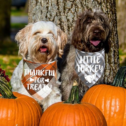 Bandanas de Acción de Gracias para perros pequeños pack de 3 pañuelos de otoño 8