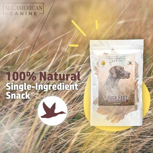 Duck-Feet-Natural-Single-Ingredient-Chewy-Digestible-Low-Fat-Dehydrated-Dog-Treats-Made-in-USA-for-Training-Rewarding-Teeth-Cleaning-24-Treats-Per-Bag Duck Feet Natural Single Ingredient Chewy Digestible Low Fat Dehydrated Dog Treats Made in USA for Training Rewarding Teeth Cleaning 24 Treats Per Bag