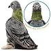 TigerHart Pepper The Pigeon - 7.5 Inch Stuffed Animal Plush Bird Toys