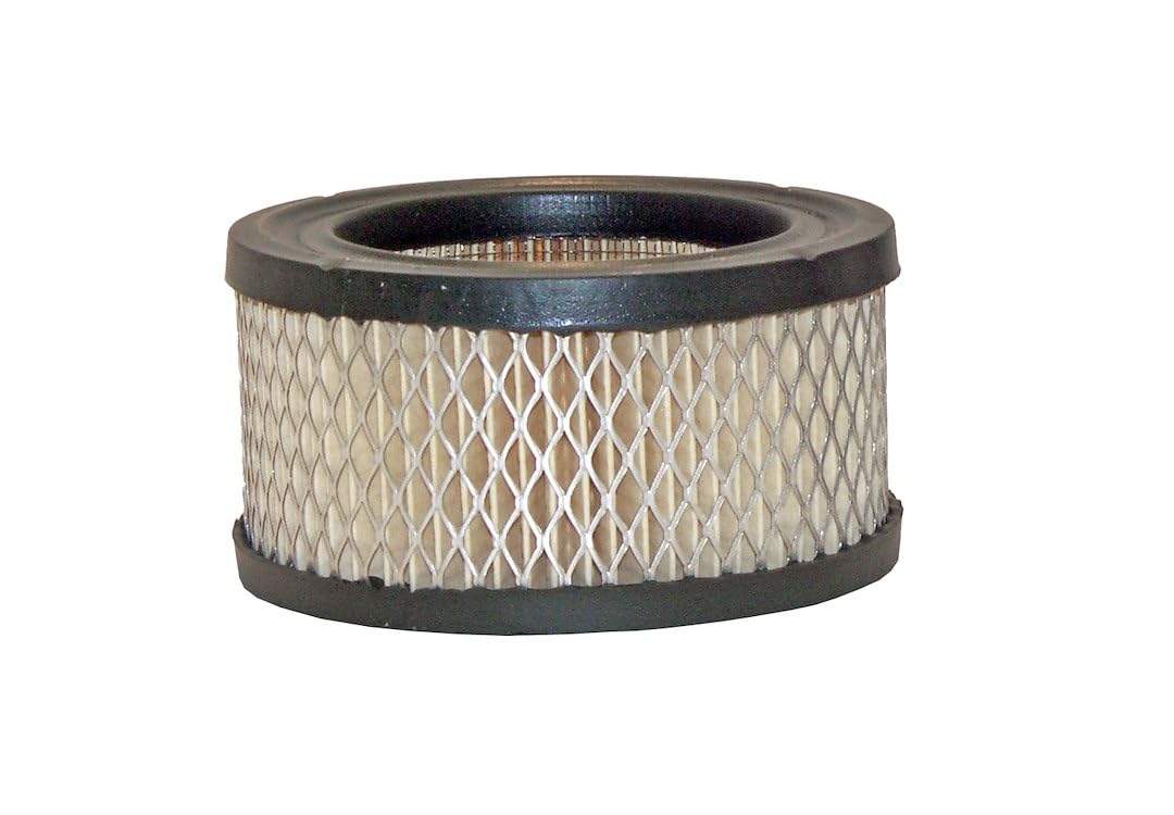 Wix 42374 Air Filter, Pack of 1, Air Filters - Amazon Canada