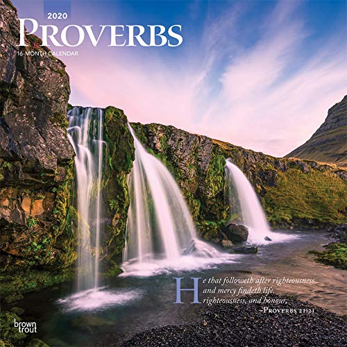 Télécharger Proverbs 2020 Calendar PDF