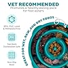 Outward Hound Fun Feeder Slo Bowl – Medium 2‑Cup Capacity, Slow Feeding, Small to Medium Dogs & Cats, Non-Slip, Turquoise, Drop Pattern