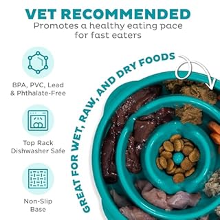 Outward Hound Fun Feeder Slo Bowl – Medium 2‑Cup Capacity, Slow Feeding, Small to Medium Dogs & Cats, Non-Slip, Turquoise, Drop Pattern